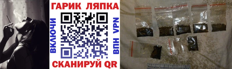 Купить где Карачев ГАШИШ индика сатива