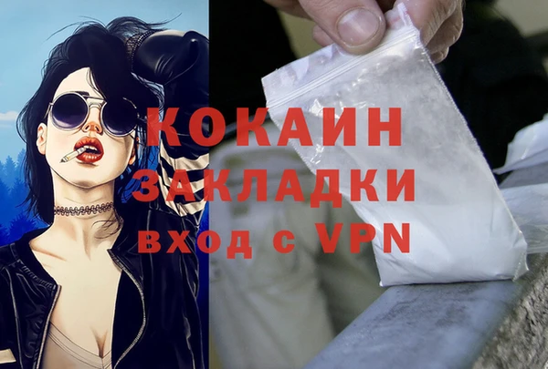 трава Карпинск