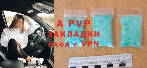 трава Карпинск
