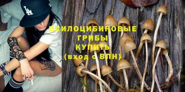 трава Карпинск