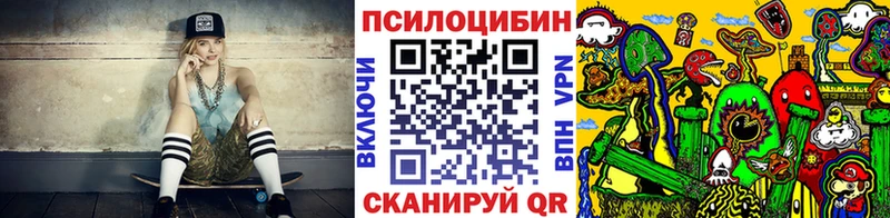 Купить где  Карачев  Псилоцибиновые грибы Psilocybine cubensis 